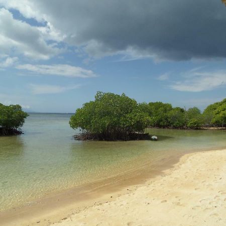 Mangrove Paradise Retreat Nusa Lembongan  Exterior photo
